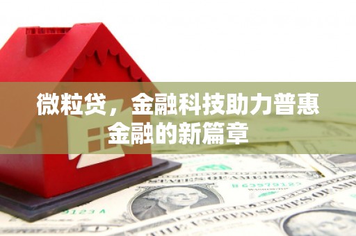 瑞芳微粒贷，金融科技助力普惠金融的新篇章