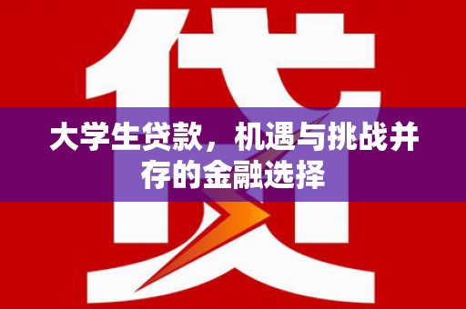 炉霍大学生贷款，机遇与挑战并存的金融选择
