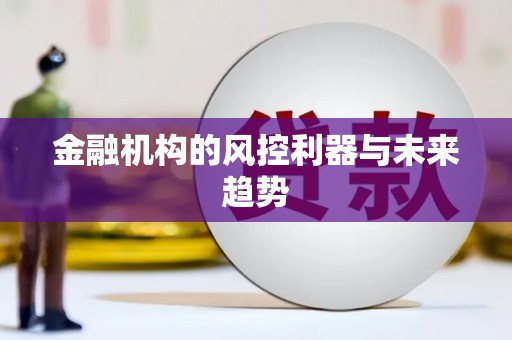 中方金融机构的风控利器与未来趋势