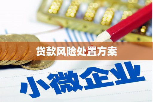 望谟贷款风险处置方案