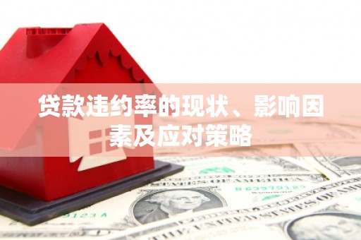 琼中贷款违约率的现状、影响因素及应对策略