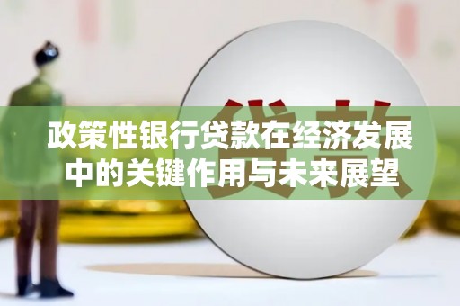 南化政策性银行贷款在经济发展中的关键作用与未来展望