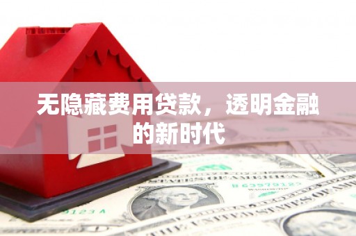 刚察无隐藏费用贷款，透明金融的新时代