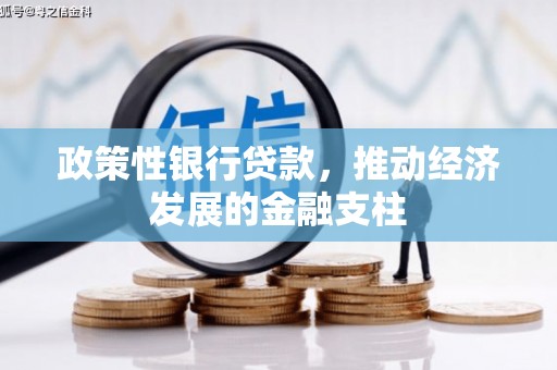 汕尾政策性银行贷款，推动经济发展的金融支柱