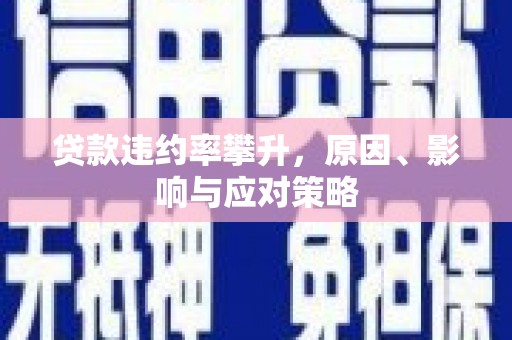 天水贷款违约率攀升，原因、影响与应对策略