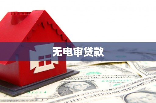 镇原无电审贷款