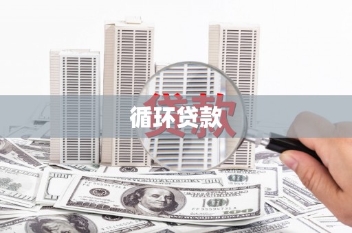 定远循环贷款