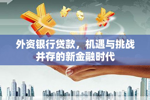 单县外资银行贷款，机遇与挑战并存的新金融时代