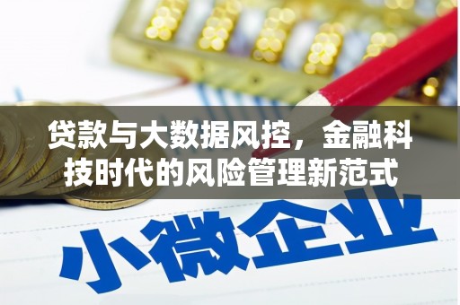 虾峙贷款与大数据风控，金融科技时代的风险管理新范式