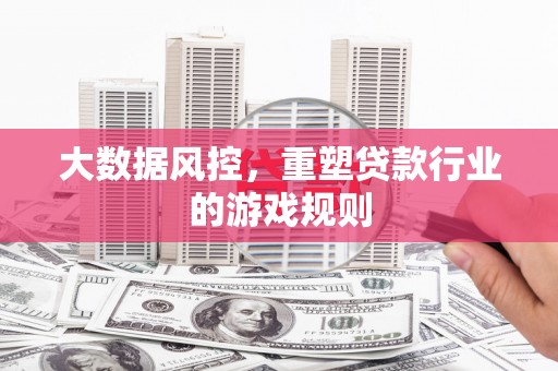 金东大数据风控，重塑贷款行业的游戏规则