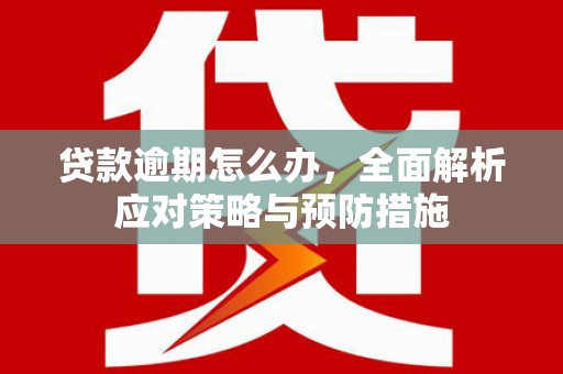 张掖贷款逾期怎么办，全面解析应对策略与预防措施