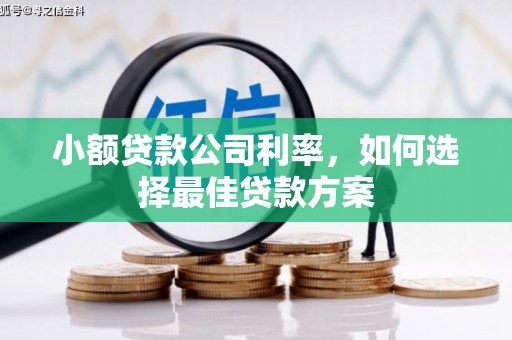 北仑小额贷款公司利率，如何选择最佳贷款方案