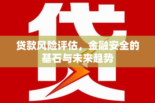 龙文贷款风险评估，金融安全的基石与未来趋势
