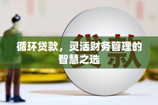 碌曲循环贷款，灵活财务管理的智慧之选