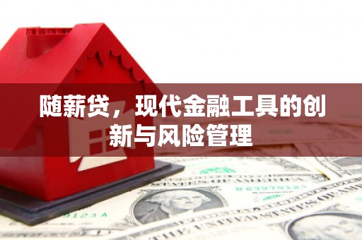 岳塘随薪贷，现代金融工具的创新与风险管理