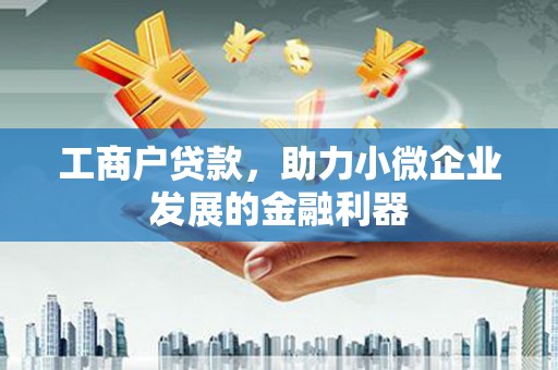 利辛工商户贷款，助力小微企业发展的金融利器