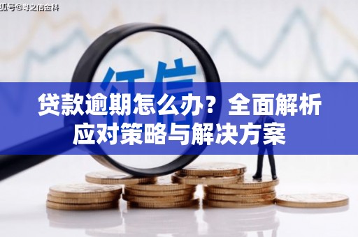 双柏贷款逾期怎么办？全面解析应对策略与解决方案