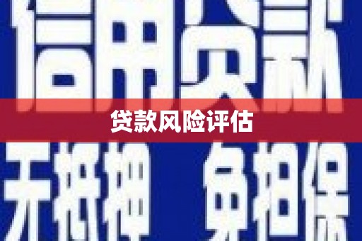 广东贷款风险评估