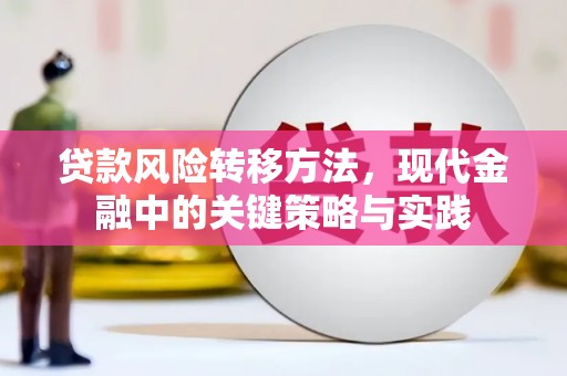 曲麻莱贷款风险转移方法，现代金融中的关键策略与实践