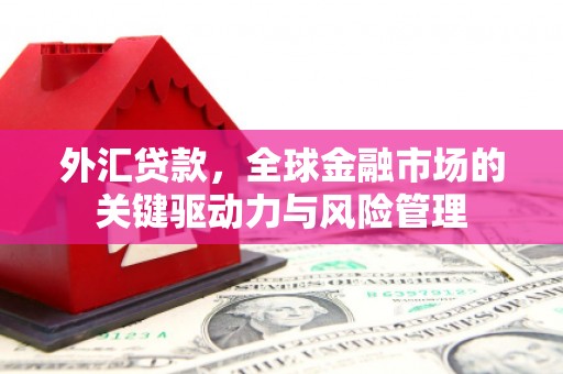 美姑外汇贷款，全球金融市场的关键驱动力与风险管理