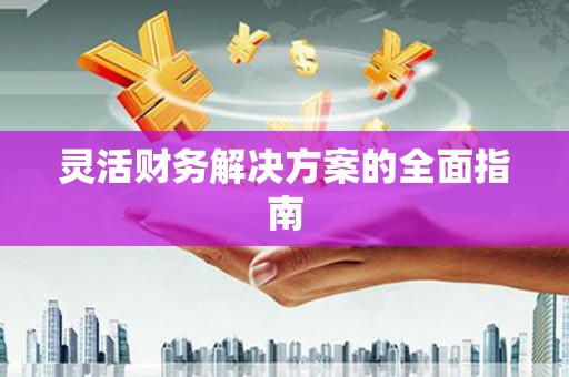 普格灵活财务解决方案的全面指南