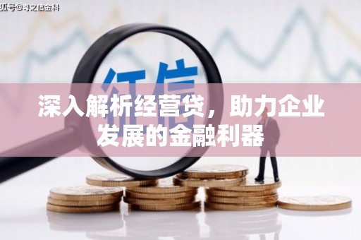 苍南深入解析经营贷，助力企业发展的金融利器
