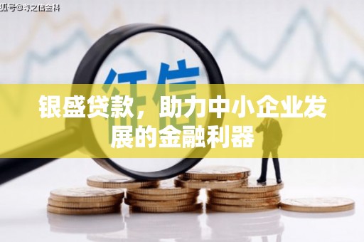 宣威银盛贷款，助力中小企业发展的金融利器