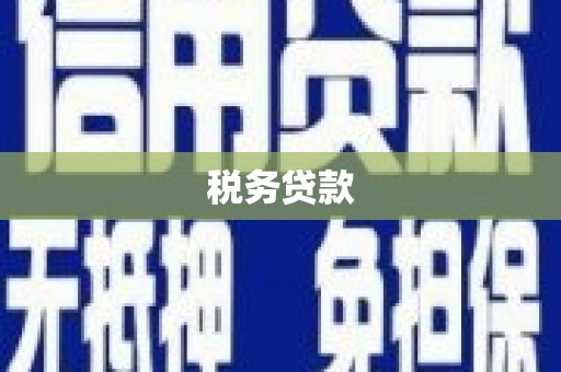 果洛税务贷款