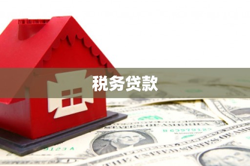 大丰税务贷款