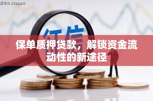 定兴保单质押贷款，解锁资金流动性的新途径