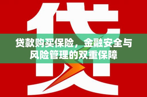 三元贷款购买保险，金融安全与风险管理的双重保障