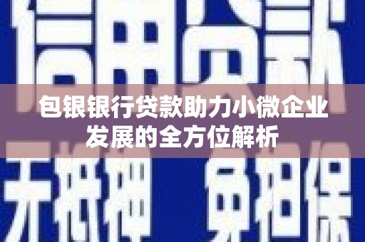 盐津包银银行贷款助力小微企业发展的全方位解析