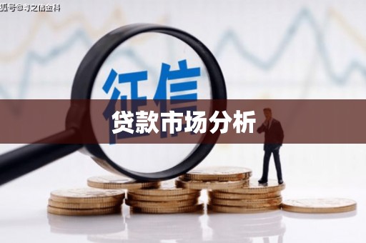 雨山贷款市场分析