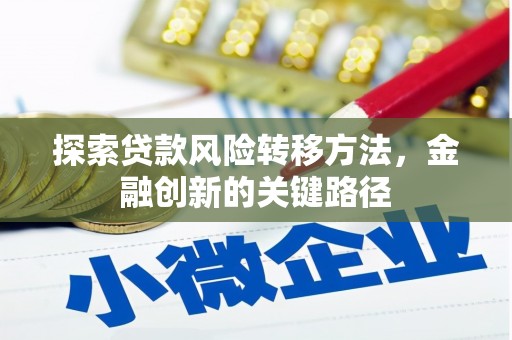 三穗探索贷款风险转移方法，金融创新的关键路径