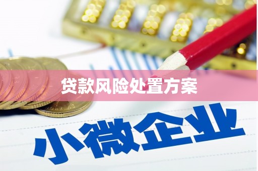 舟山新区贷款风险处置方案