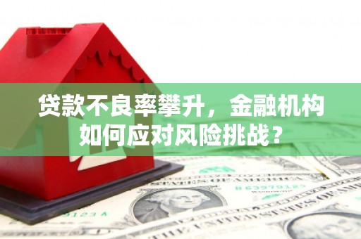 毕节贷款不良率攀升，金融机构如何应对风险挑战？