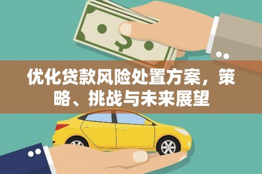 双江优化贷款风险处置方案，策略、挑战与未来展望