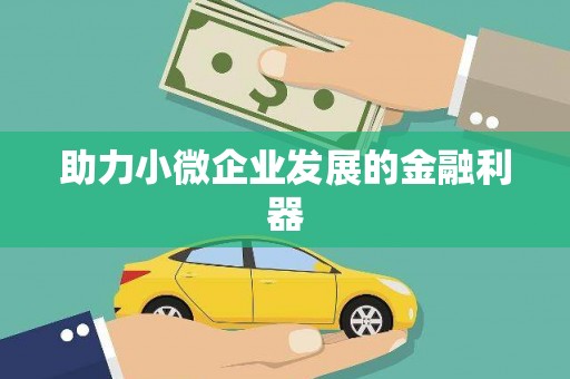 溪口助力小微企业发展的金融利器