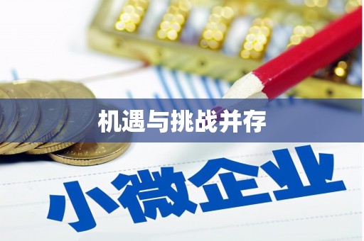 大洼机遇与挑战并存
