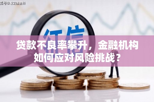 盈江贷款不良率攀升，金融机构如何应对风险挑战？
