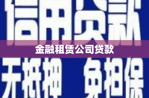 宁县金融租赁公司贷款
