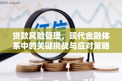 平安贷款风险管理，现代金融体系中的关键挑战与应对策略