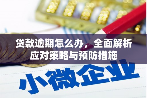 芦竹贷款逾期怎么办，全面解析应对策略与预防措施