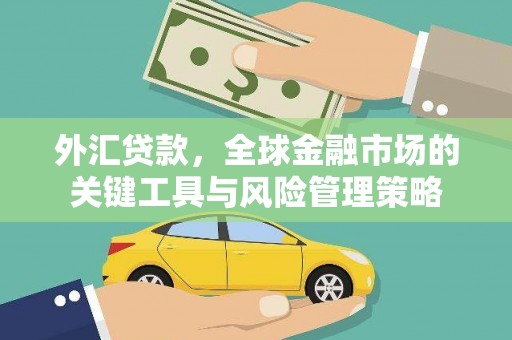 普兰店外汇贷款，全球金融市场的关键工具与风险管理策略
