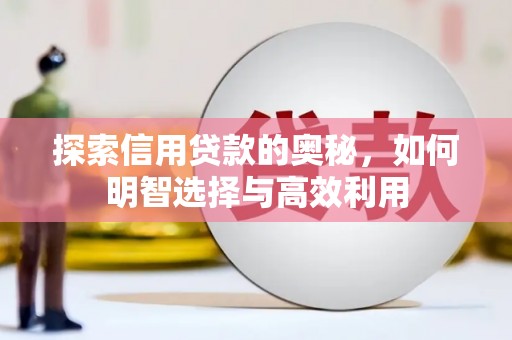 坡头探索信用贷款的奥秘，如何明智选择与高效利用