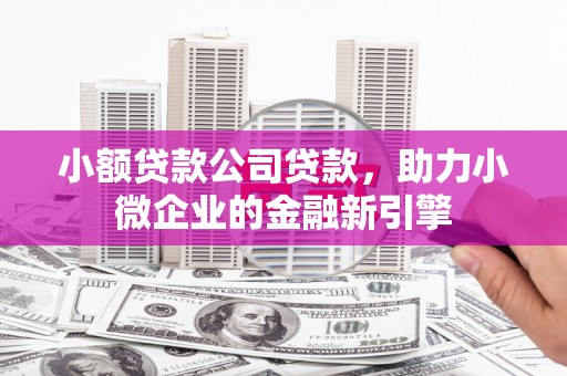 安福小额贷款公司贷款，助力小微企业的金融新引擎