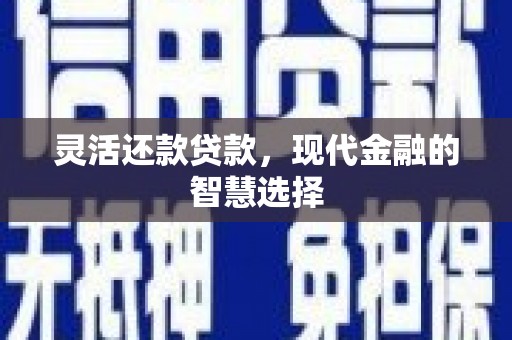 绥滨灵活还款贷款，现代金融的智慧选择