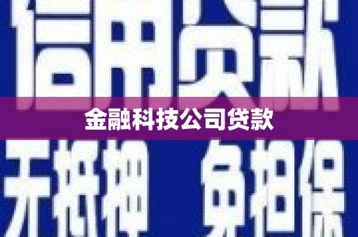 东安金融科技公司贷款
