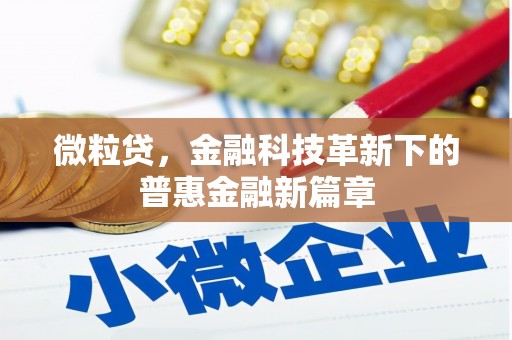 甘井子微粒贷，金融科技革新下的普惠金融新篇章