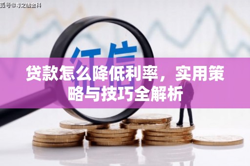 项城贷款怎么降低利率，实用策略与技巧全解析